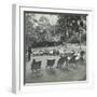 Reading Lesson Outside, Bostall Woods Open Air School, London, 1907-null-Framed Photographic Print