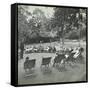 Reading Lesson Outside, Bostall Woods Open Air School, London, 1907-null-Framed Stretched Canvas