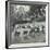 Reading Lesson Outside, Bostall Woods Open Air School, London, 1907-null-Framed Photographic Print