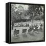 Reading Lesson Outside, Bostall Woods Open Air School, London, 1907-null-Framed Stretched Canvas