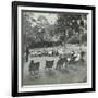 Reading Lesson Outside, Bostall Woods Open Air School, London, 1907-null-Framed Photographic Print