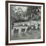 Reading Lesson Outside, Bostall Woods Open Air School, London, 1907-null-Framed Premium Photographic Print