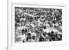 Reading Pop Festival, 1971-David White-Framed Photographic Print