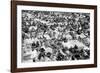 Reading Pop Festival, 1971-David White-Framed Photographic Print