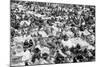 Reading Pop Festival, 1971-David White-Mounted Photographic Print