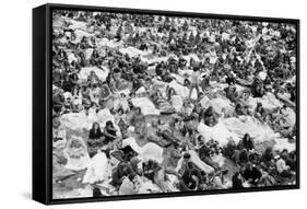 Reading Pop Festival, 1971-David White-Framed Stretched Canvas