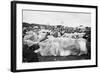 Reading Pop Festival, 1971-David White-Framed Photographic Print