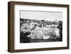 Reading Pop Festival, 1971-David White-Framed Photographic Print