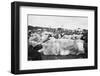 Reading Pop Festival, 1971-David White-Framed Premium Photographic Print