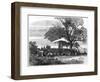 Reading the Ultimatum on the Banks of the Tugela, the Zulu War in the South, 1879-null-Framed Giclee Print