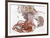 Reading-Pedro Velvere-Framed Art Print