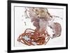 Reading-Pedro Velvere-Framed Art Print