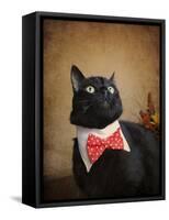 Ready for Dinner-Jai Johnson-Framed Stretched Canvas