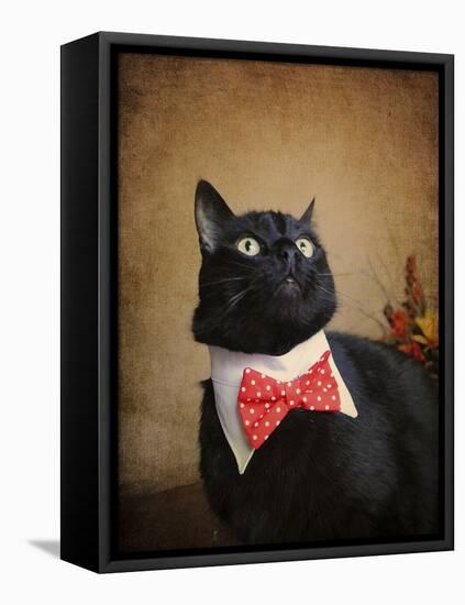 Ready for Dinner-Jai Johnson-Framed Stretched Canvas