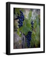 Ready For Harvest-Dorothy Berry-Lound-Framed Giclee Print