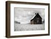 Ready for Harvest-Danita Delimont-Framed Photo