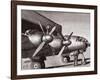 Ready for the Flight-Lucio Perinotto-Framed Art Print