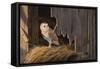Ready for the Hunt Barn Owl-Wilhelm Goebel-Framed Stretched Canvas