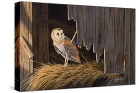 Ready for the Hunt Barn Owl-Wilhelm Goebel-Stretched Canvas