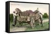 Ready for the Winery, Grape Harvest-null-Framed Stretched Canvas