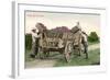 Ready for the Winery, Grape Harvest-null-Framed Art Print