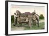 Ready for the Winery, Grape Harvest-null-Framed Art Print