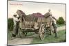 Ready for the Winery, Grape Harvest-null-Mounted Art Print