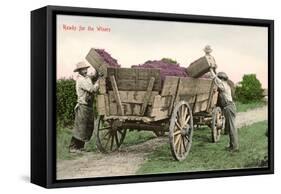 Ready for the Winery, Grape Harvest-null-Framed Stretched Canvas