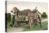 Ready for the Winery, Grape Harvest-null-Stretched Canvas