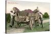 Ready for the Winery, Grape Harvest-null-Stretched Canvas