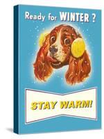 Ready for Winter  Stay Warm Dog-null-Stretched Canvas
