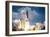 Ready to Launch-Wild Apple Portfolio-Framed Premium Giclee Print