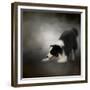 Ready to Play Border Collie-Jai Johnson-Framed Giclee Print