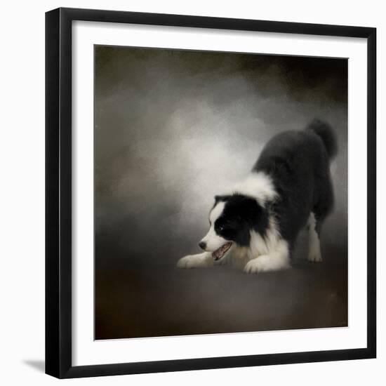 Ready to Play Border Collie-Jai Johnson-Framed Giclee Print