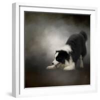 Ready to Play Border Collie-Jai Johnson-Framed Giclee Print