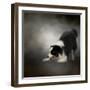 Ready to Play Border Collie-Jai Johnson-Framed Premium Giclee Print