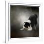 Ready to Play Border Collie-Jai Johnson-Framed Giclee Print