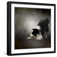 Ready to Play Border Collie-Jai Johnson-Framed Giclee Print