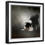 Ready to Play Border Collie-Jai Johnson-Framed Giclee Print