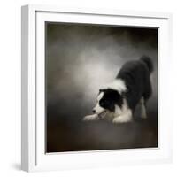 Ready to Play Border Collie-Jai Johnson-Framed Giclee Print