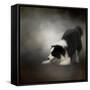 Ready to Play Border Collie-Jai Johnson-Framed Stretched Canvas