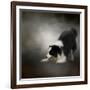 Ready to Play Border Collie-Jai Johnson-Framed Giclee Print