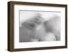 Ready to Run-Doug Chinnery-Framed Photographic Print