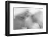 Ready to Run-Doug Chinnery-Framed Photographic Print