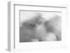 Ready to Run-Doug Chinnery-Framed Photographic Print