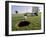 Ready to Sink the Shot-null-Framed Premium Photographic Print