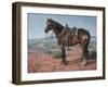 Ready & Waiting-Jack Sorenson-Framed Art Print