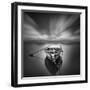 Ready-Moises Levy-Framed Photographic Print