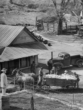 Reagor Motlow And Jess Motlow Present Owners Of Jack Daniels Distillery Looking Over Corn Photographic Print Ed Clark Allposters Com