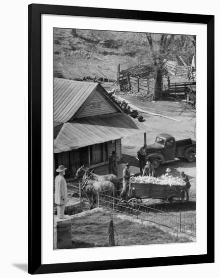 Reagor Motlow and Jess Motlow, Present Owners of Jack Daniels Distillery, Looking over Corn-Ed Clark-Framed Photographic Print